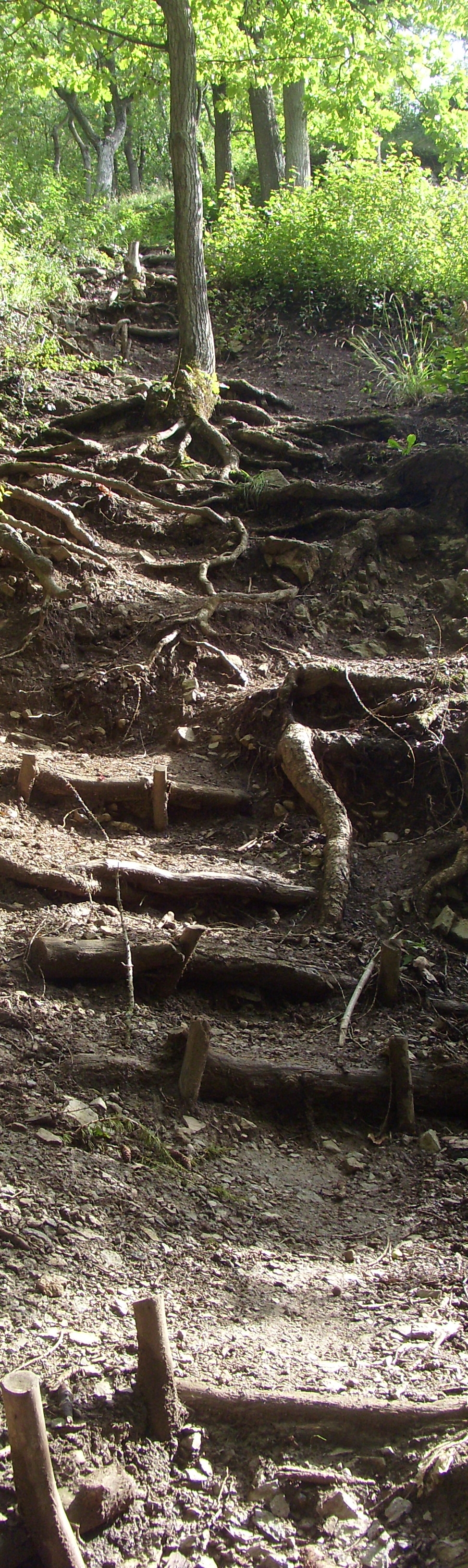 wandeling 14-Hotton